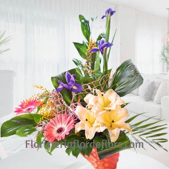 Cesta de Flor Colorida