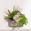 Cesta de Plantas