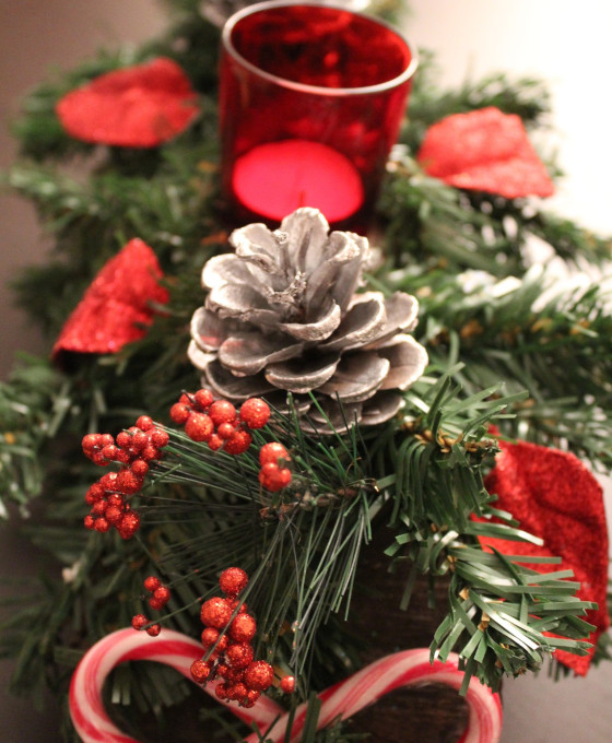 Flores para Navidad
